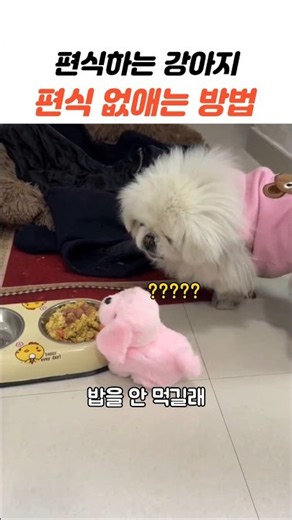 편식 없애는 방법