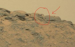 "Buddha" On Mars And Other Bizarre Martian Theories