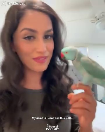 This just made my day! 🐦 | Power of Positivity