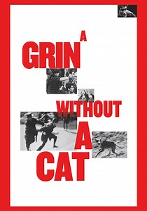 A Grin Without a Cat streaming: where to watch online?