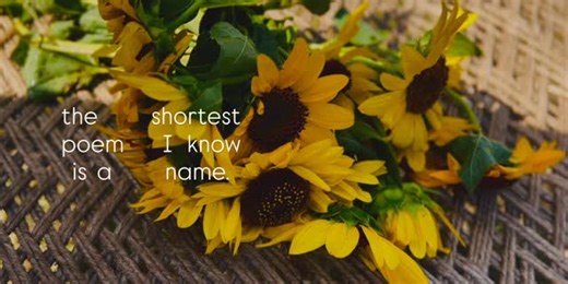 ᵃʳᶻᵒᵒ ༘˚ | -shortest and the ever lasting poem ever. | Instagram