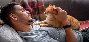 Why Are Orange Tabby Cats So Affectionate, And Is It A Dead Cert?
