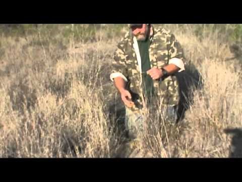 How to snare coyotes and bobcats with Freedom Brand Snare Support