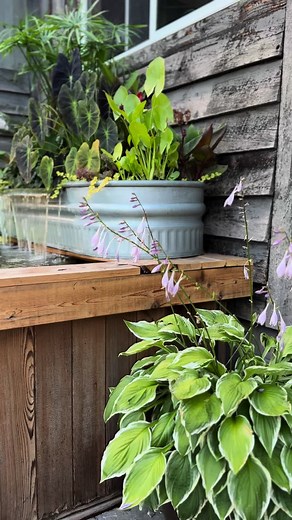 Rustic Farmhouse Patio Pond Update & DIY Project