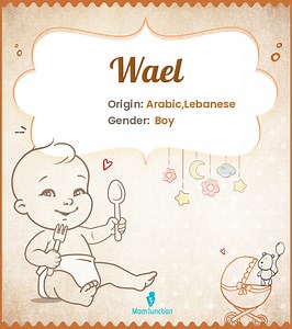 Wael Name Meaning, Origin, History, And Popularity