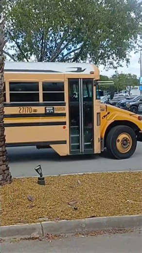 2007 Blue Bird Vision Handicap #27170