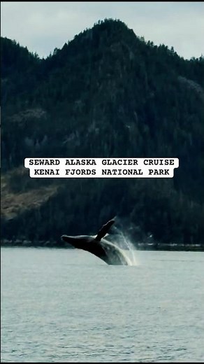 Crossing This Off My Bucket List 🧊 | Kenai Fjords, Alaska