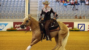 Westernreiten erklärt - was den Sport ausmacht