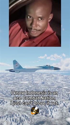 INDONESIA is an ACE COMBAT nation?! 😱