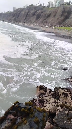 playa Costa verde 🌿....