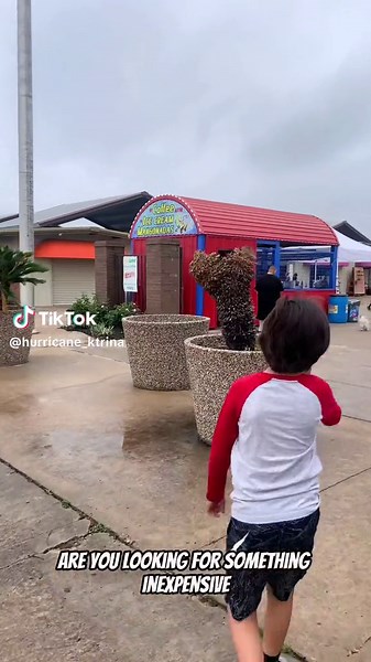 Traders Village Houston: Family Fun & Flea Market Finds