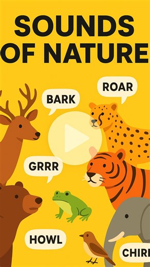 Animal Videos on Instagram: "Animals have their own unique ways of communicating, almost like a secret language. Each species uses sounds, body movements, and even scents to send messages. Birds sing complex songs to mark their territory or attract mates, while wolves howl to gather their pack or warn others to stay away. Even quieter animals, like deer, use subtle signals like tail flicks or ear movements to alert each other of danger. These forms of communication help animals survive, form bon