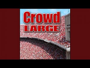 Crowd, Outdoor - Large Outdoor Stadium Crowd: General Ambience Arenas & Stadiums
