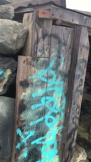 Secret Bungalow! Mussel Rock San Francisco California