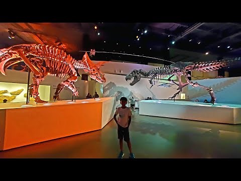 Houston museum of natural science | Must visit Dinosaur museum