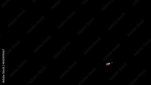Wild Goose Waterfowl Hunt Game Bird - North American Breed - Flying Around Loop - Side View MS LS - Green Screen - Realistic 3D animation isolated on chroma key background