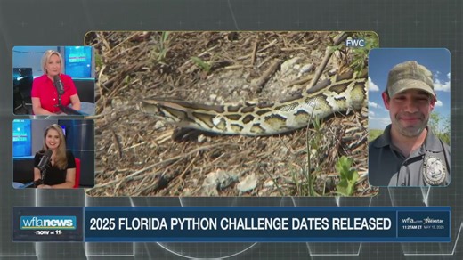 Registration opens for popular Florida Python Challenge