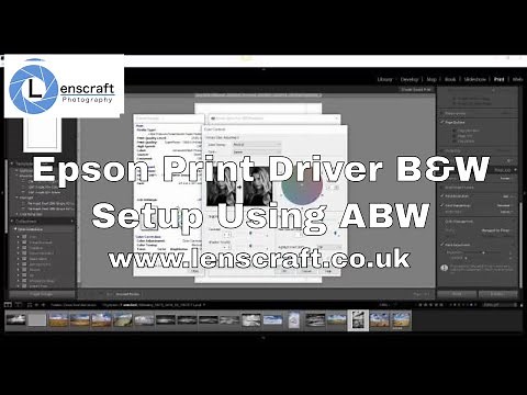 Epson Print Driver Black & White Setup Using ABW