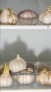 That Grocery Store Garlic Can Become 10 Bulbs