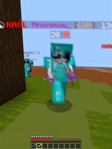 #minecraft #pvp #dc #fyp #dlaciebie #montage #sword #hitsync @mrufk.i @karlikowski0 @vxsay_