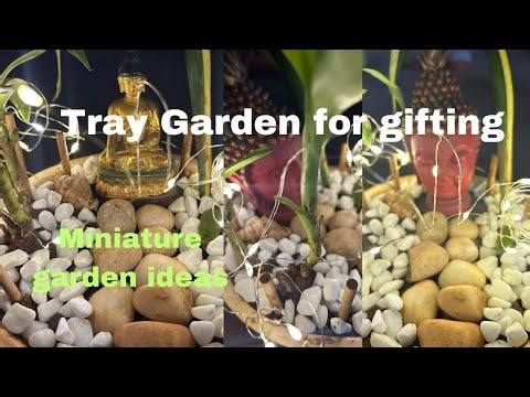 Tray Garden in 10 mins / Creative gardening /miniature garden ideas 🪴 🌱