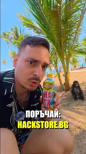 Намерих дива маймуна на остров в морето… и й дадох HACK 🙈