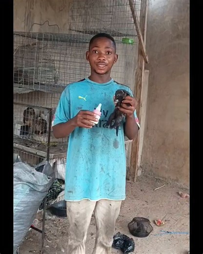 A hunter feeding a baby civet cat with a feeding bottle. Can it survive.Do well to follow his page too: @Miponthehunter