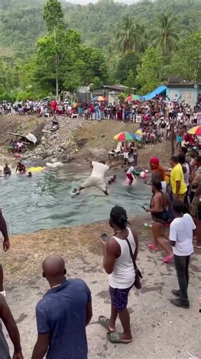 Jamaican River Party Goes COMPLETELY CRAZY 🇯🇲🔥 #jamaica #river #party