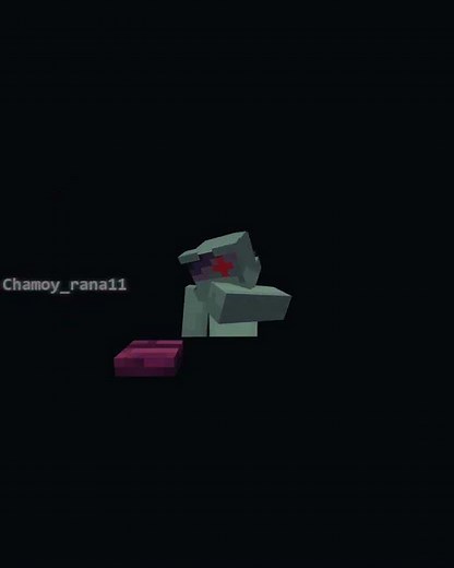 Something..New?..#minecraft #memes #minecraftmemes