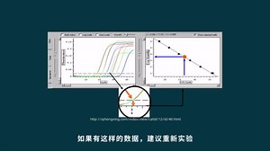 qPCR实验结果分析的几个注意事项