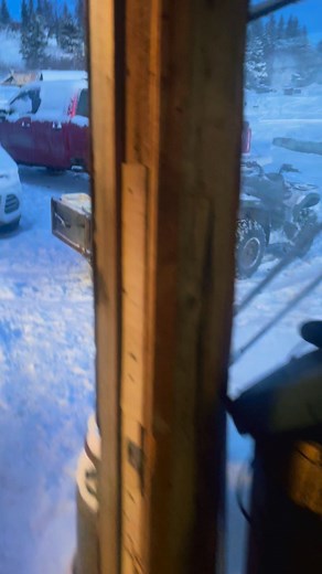 She was intrigued by the pigs (off camera) #schaderanchak #realalaskanhomesteader #agriculture #kenaipeninsula #Alaska #coyote | Schade Ranch, AK