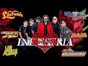 Romanticas Mix de Grupo Ladrón, Liberación, Industria del Amor | 30 Éxitos
