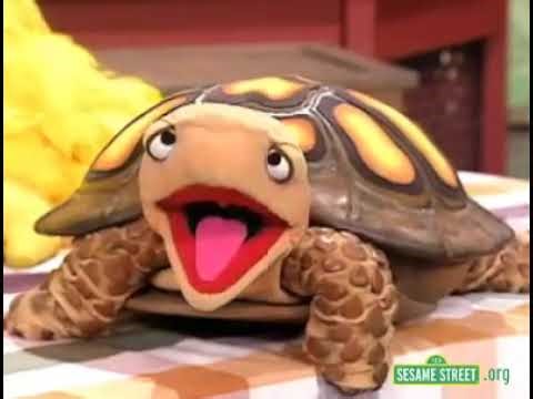 Sesame Street - Big Bird Finds A Turtle