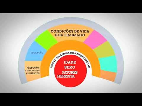 DETERMINANTES SOCIAIS DA SAÚDE