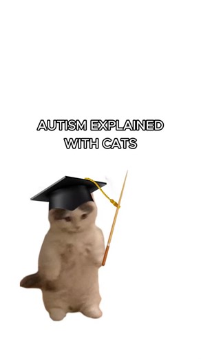 Autism explained by cats #cats #autism #kitty | cats
