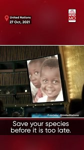 UNDP Invites A Dinosaur: 'Don't Choose Extinction'