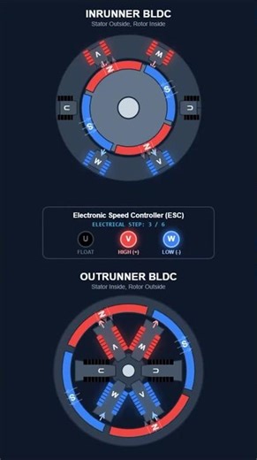 bldc motors working #shorts
