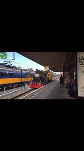 Little Steam Engine to the rescue 🛟 🚂 | The Bash Mash