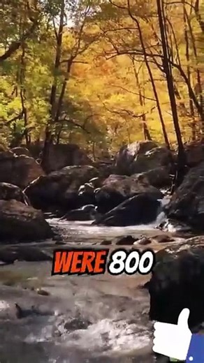 Genesis chapter 5.verses 1st to 11.