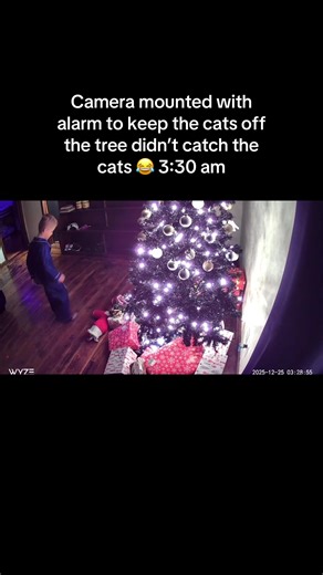 Creative Cat Tree Alarm System Humor