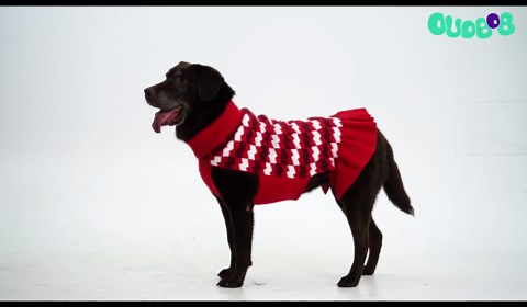 Dog Sweaters for Large Dogs Girl, Dog Sweater Dress with Leash Hole, Thick Turtleneck Knitwear for Female Dogs, Warm Fall Winter Dress for Cold Weather, Thanksgiving, Christmas - Purple XXL