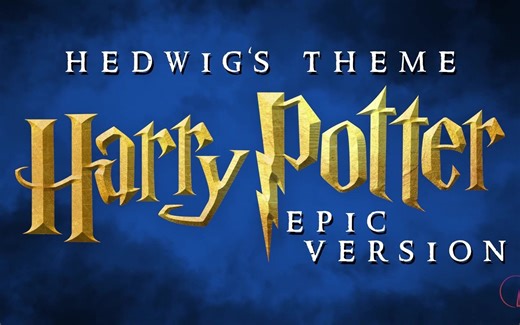 【音乐鉴赏】哈利波特电影系列Hedwig's Theme海德薇格主题曲空灵神秘史诗变奏混音！！
