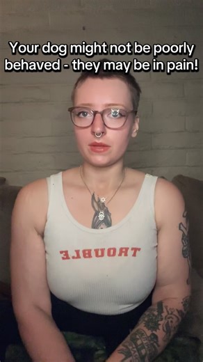 Many times, dogs can “misbehave” and even act out of aggression due to an underlying medical issue - not because of any particular behavioral problem! #animalbehavior #dogtraining | Nadia Hall, Animal Trainer