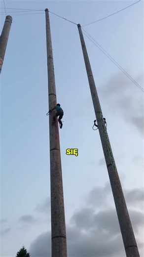 "Szokująca": 27 metrów w GÓRĘ i w DÓŁ w 24 sekundy?! 🌲🤯