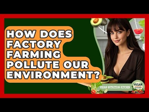 How Does Factory Farming Pollute Our Environment? - Vegan Nutrition Kitchen