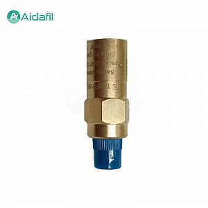 [Hot Item] 1/4 NPT Cryogenic Reief Pressure Low Temperature Safety Valve Brv95-T350-Nt4
