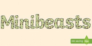 Minibeasts Display Lettering