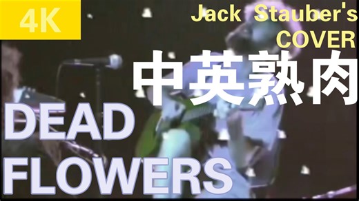 Jack Stauber - Dead Flowers (COVER) [中英熟肉]