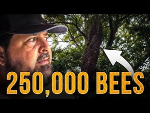 Can We Break A World Record? - Eighty Pounds Of Bees
