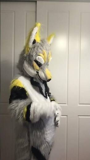 Air Pump (inflation)